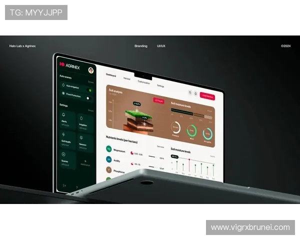 優化版ag网站入口全天候在线支持帮助玩家快速访问享受顺畅游戏体验 優化版ag网站入口全天候在线支持帮助玩家快速访问享受顺畅游戏体验