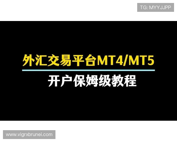 新手必看：PA平台开户网交易流程与注意事项