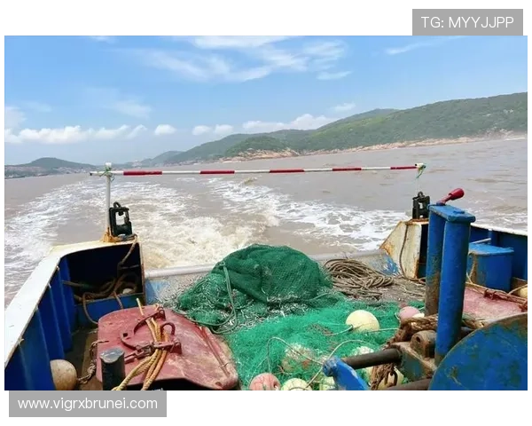 如何在PA捕鱼乐园中组队合作，提升捕鱼效率享受团队竞技乐趣